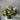 Be Right There Floral Arrangement Crafted by Mount Waverley Florist