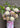 Daily Bloom Seasonal Flower Arrangement Designed by Mount Waverley Florist