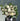 Daily Bloom Seasonal Floral Arrangement Handcrafted at Florist Corner for Melbourne Delivery