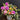 Flowers For You Vase Arrangement Arranged by Mount Waverley Florist