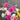Flowers For You Vase Flower Arrangement for Delivery in Melbourne