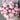 Forever Peonies Flower Bouquet for Melbourne Delivery - 20 Stems in a Vase