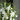 Funeral Flowers Memorial Floral Set at Florist Corner for Melbourne Delivery - Wicker Basket