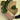 Hydro Monstera Plant Without Vase for Indoor Plants in Melbourne at Florist Corner