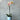Elegant Potted Phalaenopsis Orchid for Indoor Plant Delivery near Melbourne - Single Stem