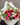 Two Dozen Tricolour Combo Rose Bouquet at Florist Corner for Melbourne Delivery