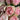 Say It With Roses Valentine's Day Rose Bouquets at Florist Corner Online Flower Shop