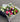 Seasonal Flower Bouquet from Melbourne Seasonal Florals