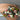 Seasonal Native Bouquet for Flower Bouquet Delivery in Melbourne