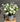 Seasonal Sympathy Flower Arrangement for Sympathy Flower Delivery in Melbourne