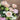 Small Talk Over Coffee Bouquet in Melbourne at Florist Corner Online Flower Shop