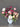 Sunset Flower Arrangements for Sympathy Flowers in Melbourne at Florist Corner