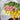 Tulip Bouquets Made by Trusted Melbourne Florist for Tulip Delivery near Melbourne