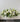funeral flowers casket spray