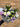 Sympathy Bouquet - Plant Parent.101FlowersFlorist CornerPlant Parent.101