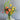 Image 3 - Plant Parent.101 FlowersFlorist CornerPlant Parent.101