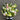 Daily Bloom Seasonal Flower Arrangement