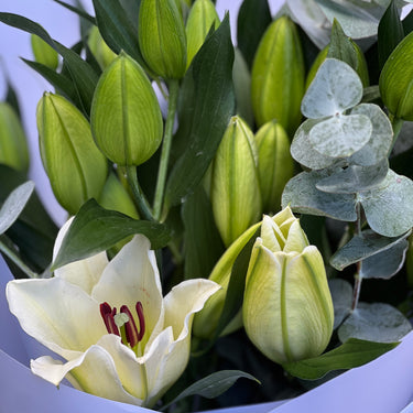 Lilies Bouquet