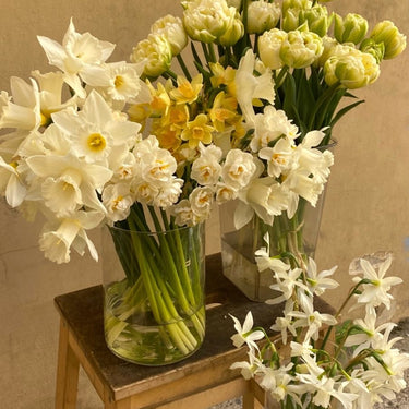 Daffodil vase arrangment 