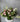 Be Right There Floral Arrangement Crafted by Mount Waverley Florist