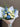 A floral bouquet wrapped in white kraft paper, featuring white roses, blue hydrangeas, blue delphiniums, and green foliage, held against a plain brown wall.