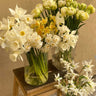 Cancer Council Tulip & Daffodil Day Bouquets by Florist Corner for Flower Delivery in Melbourne