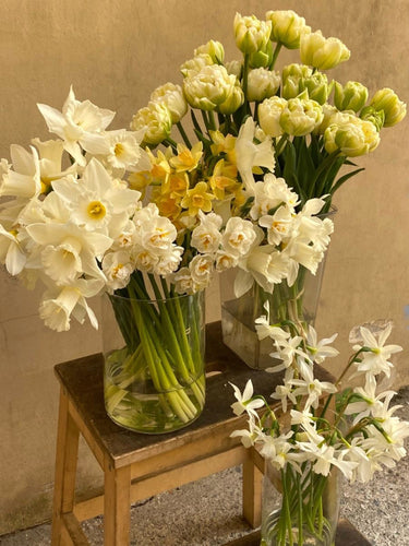 Cancer Council Tulip & Daffodil Day Bouquets by Florist Corner for Flower Delivery in Melbourne