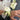 A close-up of a formal corsage and buttonhole set featuring a white rose wrist corsage and matching lapel boutonniere on a man in a grey suit jacket and white shirt.