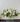Custom Funeral Casket Spray for Delivery of Funeral Flowers in Melbourne - White & Green