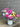 Flowers For You Vase Arrangement for Melbourne Delivery at Florist Corner