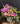Flowers For You Vase Arrangement Arranged by Mount Waverley Florist