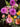 Flowers For You Arrangement Designed by Melbourne Florist at Florist Corner