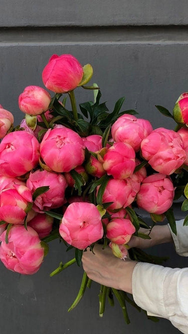 Forever Peonies Flower Bouquet Crafted by Melbourne Florist