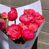 Forever Peonies Bouquet Arranged by Mt Waverley Florist in Melbourne