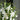 Funeral Flowers Memorial Floral Set