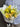 Lemon and Limes Flower Bouquet Created by Melbourne Florist