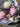 Mothers Day Flower Bouquets of Seasonal Flowers at Florist Corner 