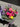 Mothers Day Flower Bouquets by Trusted Florist near Melbourne