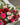 Roses Forever Bouquet Made to Order by Mt Waverley Florist - Tricolour Combo