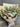 Seasonal Native Bouquet from Australian Native Flowers at Florist Corner