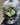 Seasonal Sympathy Flower Arrangement at Florist Corner Online Flower Shop