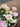 Small Talk Over Coffee Bouquet in Melbourne at Florist Corner Online Flower Shop