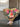 Small Talk Over Coffee Flower Bouquet for Flower Delivery in Melbourne at Florist corner