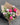 Something Sweet Flower Bouquet for Same Day Bouquet Delivery in Melbourne