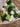 Sympathy Flower Bouquets in Melbourne Crafted by Mt Waverley Florist