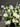Sympathy Flower Arrangement from Seasonal Flowers for Delivery near Melbourne
