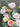 Tell Me More Vase Floral Arrangements in Melbourne from Trusted Online Flower Shop