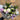 Sympathy Bouquet - Plant Parent.101FlowersFlorist CornerPlant Parent.101