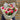 Young And Beautiful - Plant Parent.101FlowersFlorist CornerPlant Parent.101