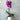 Phalaenopsis Orchid - Potted - Plant Parent.101FlowersPlant Parent.101 Plant Parent.101Single Stem